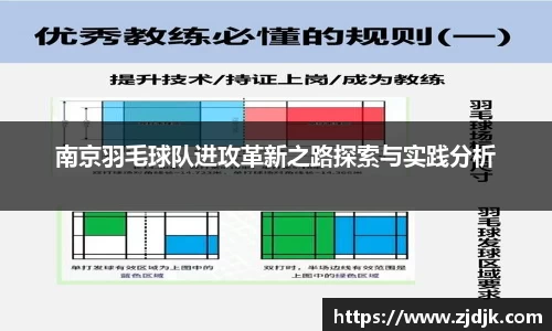 南京羽毛球队进攻革新之路探索与实践分析