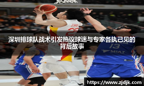 深圳排球队战术引发热议球迷与专家各执己见的背后故事