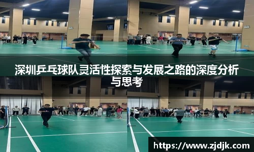 深圳乒乓球队灵活性探索与发展之路的深度分析与思考